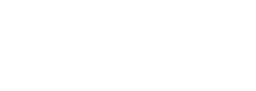 Pet Travel